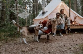 Was sind die besten Haustierzelte für Outdoor-Camping mit Ihrem Hund?