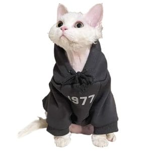 KASESSS Katzenbody, Katzenbekleidung, Sweatshirt Kostüm Für Katzen, Katzen Kleidung mit Kapuze, Langärmlige Cat Clothing mit Dünnem Fleece, Katzens-Winterkleidung für Katzens Kleine Hunde, Schwarz, M