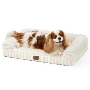 COZY KISS Orthopädisches Hundebett für Mittelgroße Hunde 76x50x15cm – Hundesofa mit Weichem Kunstfell & Cordbezug, Eierförmiger Kistenschaum, Ergonomischer Hundekorb, Abnehmbar & Waschbar, Creme