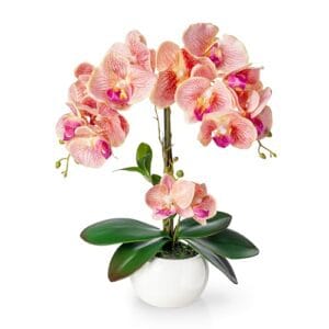 PASCH® Orchideen künstlich in Hochglanz-Keramiktopf (40cm) | Kunstblumen im Topf | Kunstblumen wie echt | künstliche Orchideen im Topf | künstliche Blumen im Topf | Kunstblume Orchidee