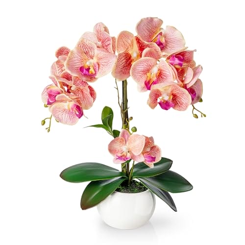 PASCH® Orchideen künstlich in Hochglanz-Keramiktopf (40cm) | Kunstblumen im Topf | Kunstblumen wie echt | künstliche Orchideen im Topf | künstliche Blumen im Topf | Kunstblume Orchidee