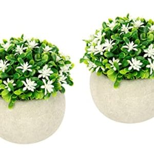 Flair Flower Mini Blütenbusch im Topf Künstlich Wachsblume Busch Tischdeko Mittelstück Plastikblumen Floristik Kunstpflanze Blumen Unechte Deko Pflanze Buchs Blumenschmuck, 020999W, Weiß, 11x12x12 cm