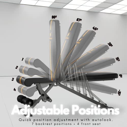 ACTIVEWEIGHT Klappbare, Verstellbare Hantelbank | 90 Grad, Schrägbank, Flachbank, Negativebank | Vormontiert | Kompatibles Langhantel Hantel | Gym Bänke | Kraftraining – Bild 5