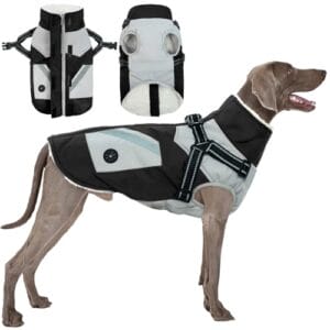 Hundemantel XXL, Hundepullover Grosse Hunde Hundemantel Labrador Winter Regenmantel Hund mit Geschirr Warm Coats & Jackets for Dogs(Schwarz, 2XL)