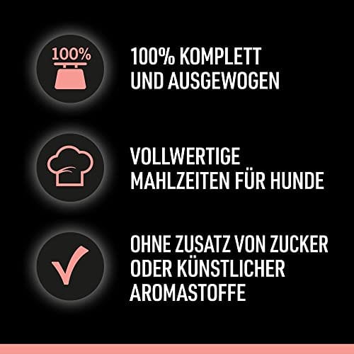 Cesar Selektion in Sauce Premium Hunde Nassfutter im Portionsbeutel 4 Varietäten 40x100g – Bild 4