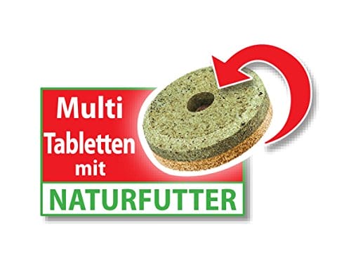 Tetra FunTips Tablets - an der Aquarium-Scheibe haftende Futtertabletten, optimal zum Beobachten der Fische geeignetes Fischfutter, 75 Tabletten – Bild 4