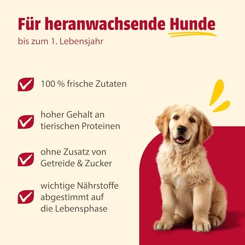 animonda GranCarno Junior Rind + Huhn (6 x 800 g), Welpenfutter für Junge Hunde, Nassfutter für Hunde mit 100% frischen, fleischlichen Zutaten, Junior Hundefutter ohne Getreide – Bild 6