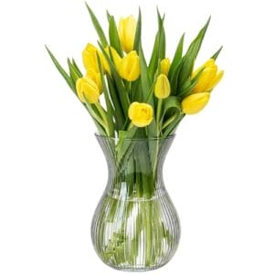 KONZEPT Blumenvase Glas 18 cm Hoch, ⌀ 11 cm, Vase für Tulpen Durchsichtig, Spülmaschinenfest – Kleine Vase für Tischdeko bei Hochzeiten & Partys