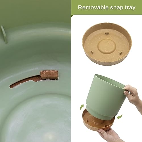 QCQHDU Bumentöpfe 2er Pack 16,5cm, Bumentöpfefür Zimmerpflanzen mit Entwässerungslöchern und abnehmbarem Boden,Untersetzer Modern Dekorativ für Garten Pflanzgefäße(Grün 16,5cm – Bild 4