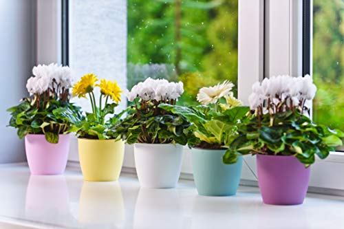 Tymar Blumentopf, 2er-Pack, Pflanzentopf aus Kunststoff, Moderne, matt, Runde Form (Graphit, ø 25 cm) – Bild 6