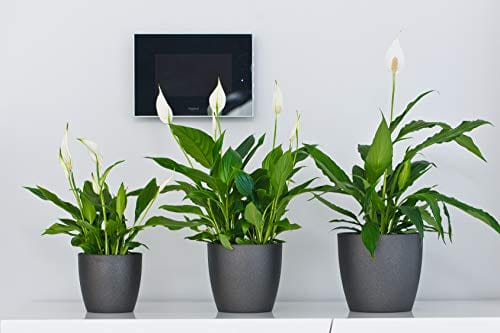 Tymar Blumentopf, 2er-Pack, Pflanzentopf aus Kunststoff, Moderne, matt, Runde Form (Graphit, ø 25 cm) – Bild 5