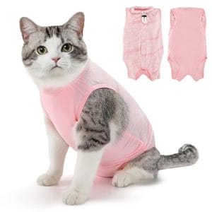 Eyein Katzenbody nach OP, Atmungsaktiver bequemer Erholungsanzug Anti-leckende Katzen-Operationsanzug mit Mesh Design für Katze Body Operation – Katzen Kätzchen E-Halsband Alternative (Hellrosa, M)