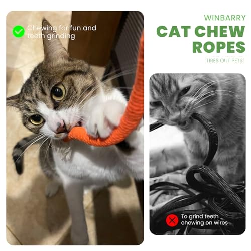 winbarry Katzenspielzeug, Katzenbeißseil, Katzenspielzeug Selbstbeschäftigung, Katzenminze Spielzeug für Katzen Zahnpflege und Gegen Mundgeruch – Bild 3