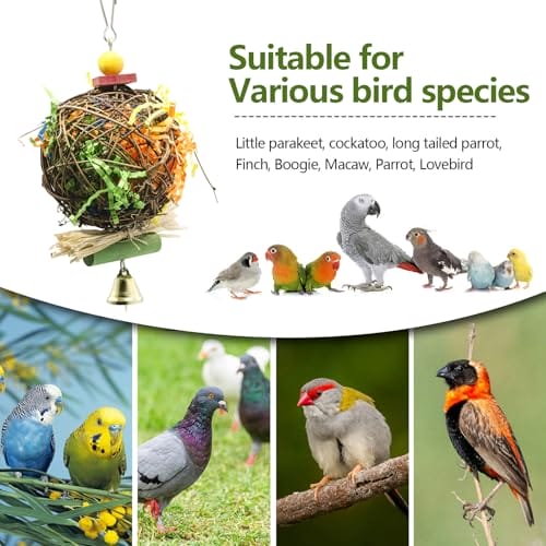 TFLPUO 2 Stück Vogelspielzeug, Budgies Toys Natural Rattan Ball Vogelkäfig Hängen Spielzeug Vogel Käfig Zubehör für Wellensittich Papageien (20 * 10cm) – Bild 4