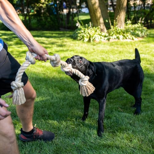 Fida Hundespielzeug aus Seil für aggressive Kauer, interaktives, robustes Hundespielzeug für mittelgroße und große Hunde, robustes gedrehtes Seilspielzeug mit 5 Knoten – Bild 6