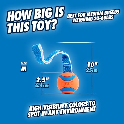 Chuckit! CH231201 Ultra Tug Medium – Bild 5