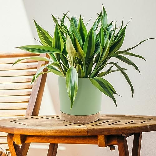 QCQHDU Bumentöpfe 2er Pack 16,5cm, Bumentöpfefür Zimmerpflanzen mit Entwässerungslöchern und abnehmbarem Boden,Untersetzer Modern Dekorativ für Garten Pflanzgefäße(Grün 16,5cm – Bild 6