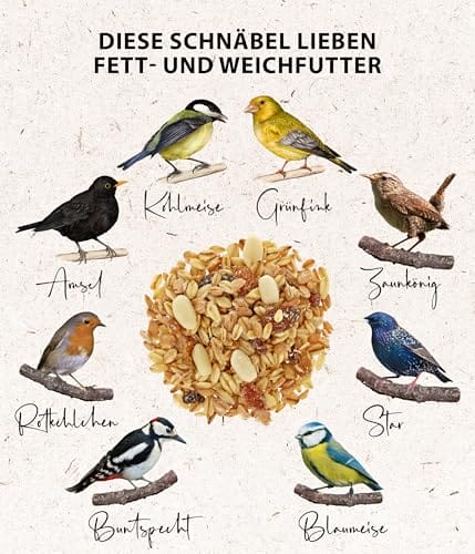 Dehner Natura Premium Wildvogelfutter, Fettfutter / Weichfutter, Ganzjahresfutter artgerecht / kraftspendend , hochwertiges Vogelfutter für Wildvögel, 5 kg – Bild 5