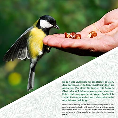 WILDLIFE FRIEND I Vogelfutterspender und Vogeltränke hängend - mit Balkonhalterung ? 18cm I 2-in-1 Vogeltränke Balkon, Vogelhaus Garten Metall für Sommer Vogelfutter – Bild 6