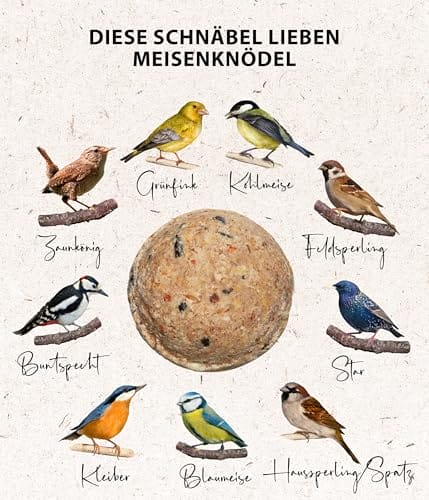 Dehner Natura Premium Meisenknödel ohne Netz, ganzjähriges Wildvogelfutter proteinreich / energiereich, Vogelfutter für Wildvögel, 30 Stück je 90 g (2.7 kg), Karton aus FSC-zertifizierter Produktion – Bild 6