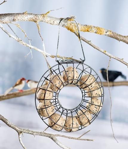 Dehner Natura Wildvogelfutter, Meisenknödel, ohne Netz, 30 Stück je 90 Gramm (2.7 kg) – Bild 4