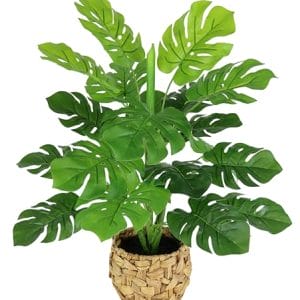 Kunstpflanze Monstera im Topf 46cm Künstliche Splitphilopflanze Blattpflanze Seidenblumen Pflanzen Dekopflanze Grünpflanze Seidenpflanze Zimmerpflanze Kunstblume Deko Büropflanze