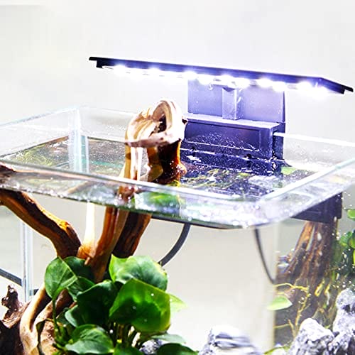 GERUI Aquarienlampe LED Aquarium Licht 220V 6W Nano Aquarium Beleuchtung für Wasserpflanzen und Fische – Bild 4