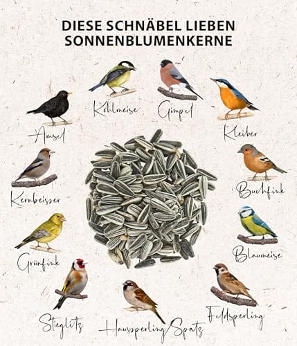 Dehner Natura Premium Wildvogelfutter, Sonnenblumenkerne, Ganzjahresfutter proteinreich / energiereich, hochwertiges Vogelfutter für Wildvögel, 2.2 kg – Bild 5