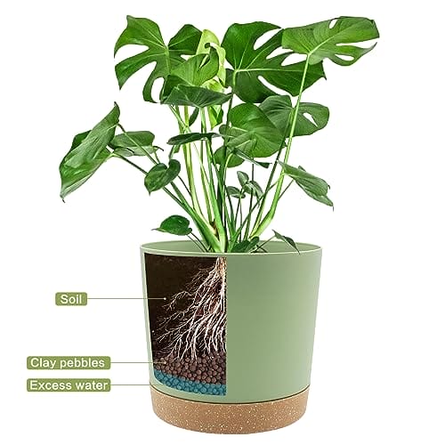 QCQHDU Bumentöpfe 2er Pack 16,5cm, Bumentöpfefür Zimmerpflanzen mit Entwässerungslöchern und abnehmbarem Boden,Untersetzer Modern Dekorativ für Garten Pflanzgefäße(Grün 16,5cm – Bild 5