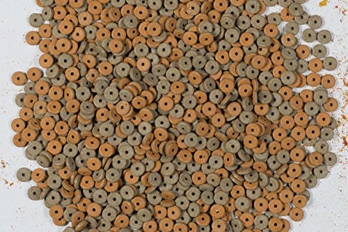 Tetra FunTips Tablets - an der Aquarium-Scheibe haftende Futtertabletten, optimal zum Beobachten der Fische geeignetes Fischfutter, 75 Tabletten – Bild 3